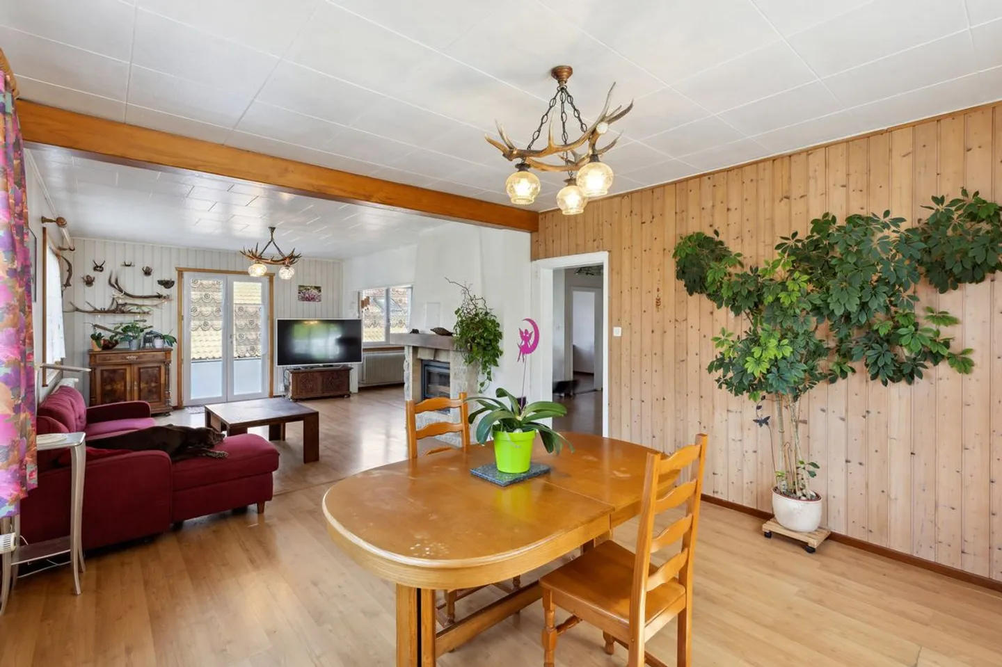 Individual villa with large independent studio and multiple possibilities on large plot - Photo 7 of 12