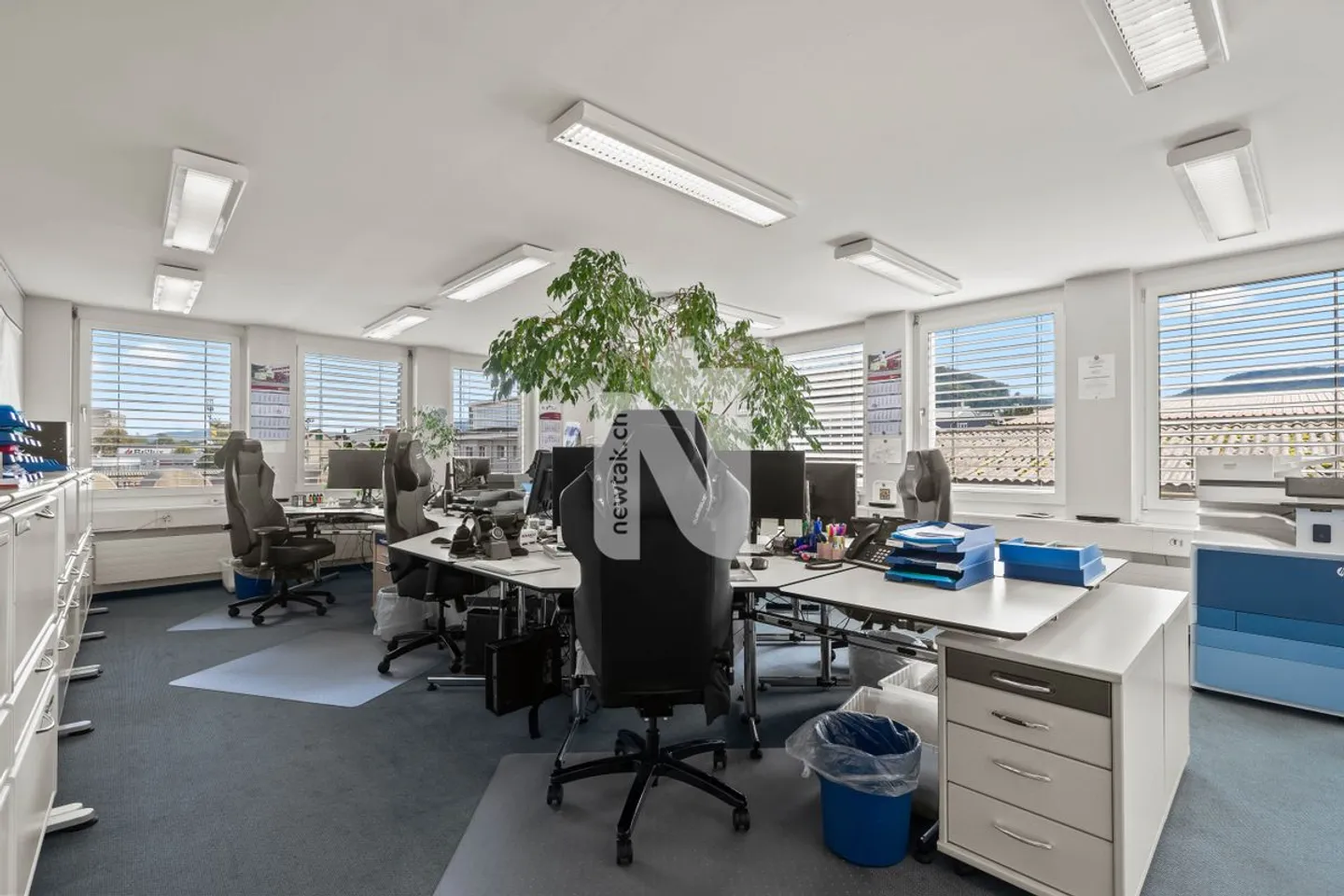 Top-Investitionsobjekt in Muttenz für Handwerker - Schreinerei, Büros, Lager, Tiefgarage, &amp; Wohnung in Industriezone - Foto 5 von 13