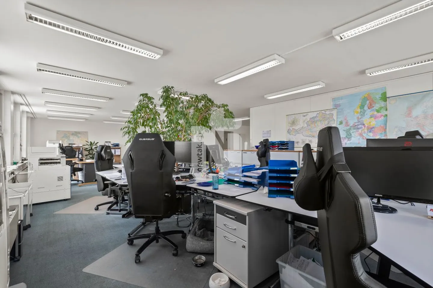 Top-Investitionsobjekt in Muttenz für Handwerker - Schreinerei, Büros, Lager, Tiefgarage, &amp; Wohnung in Industriezone - Foto 7 von 13