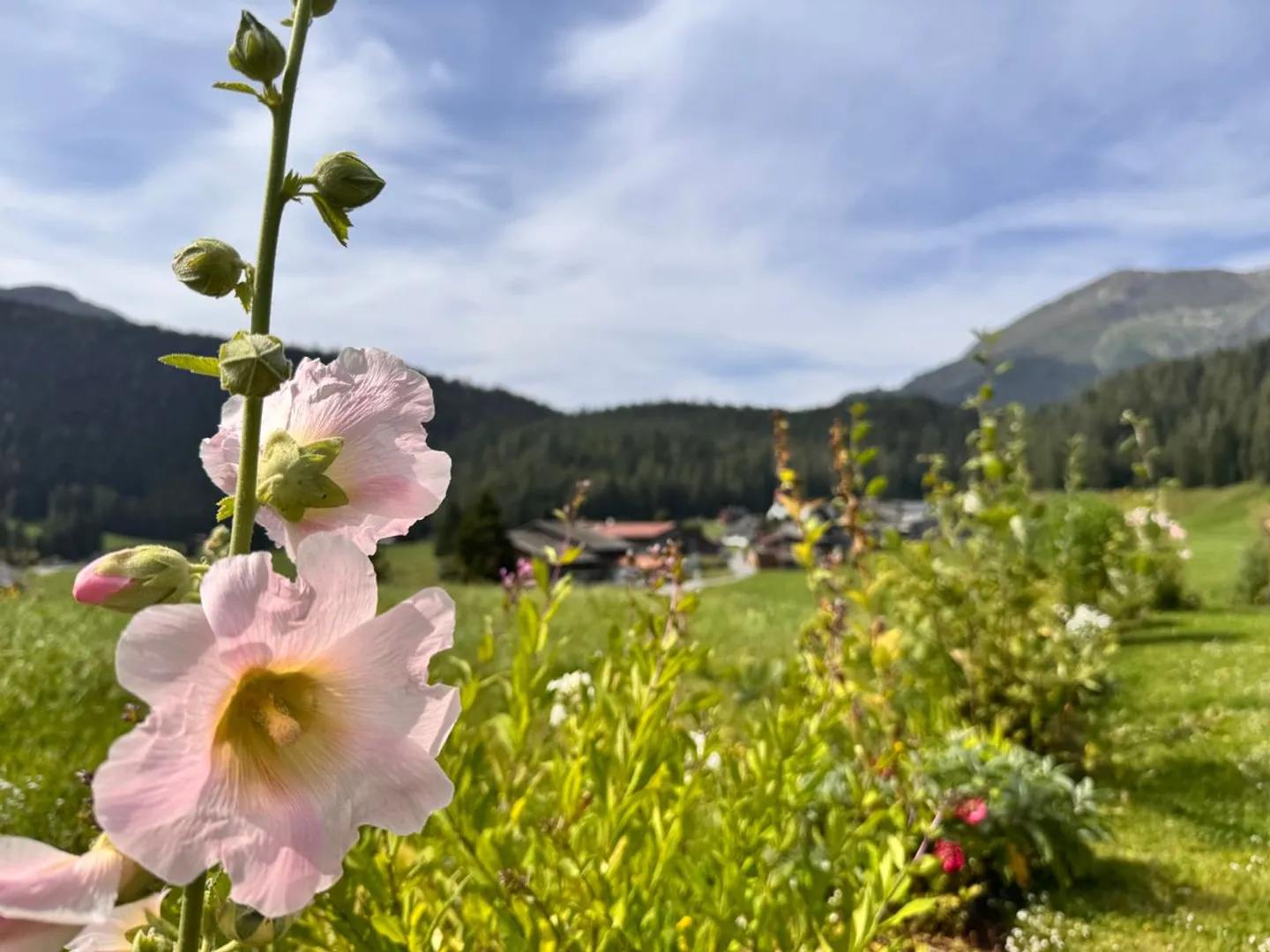 Casa da sogno in posizione idilliaca a Davos Laret - Foto 1 di 11