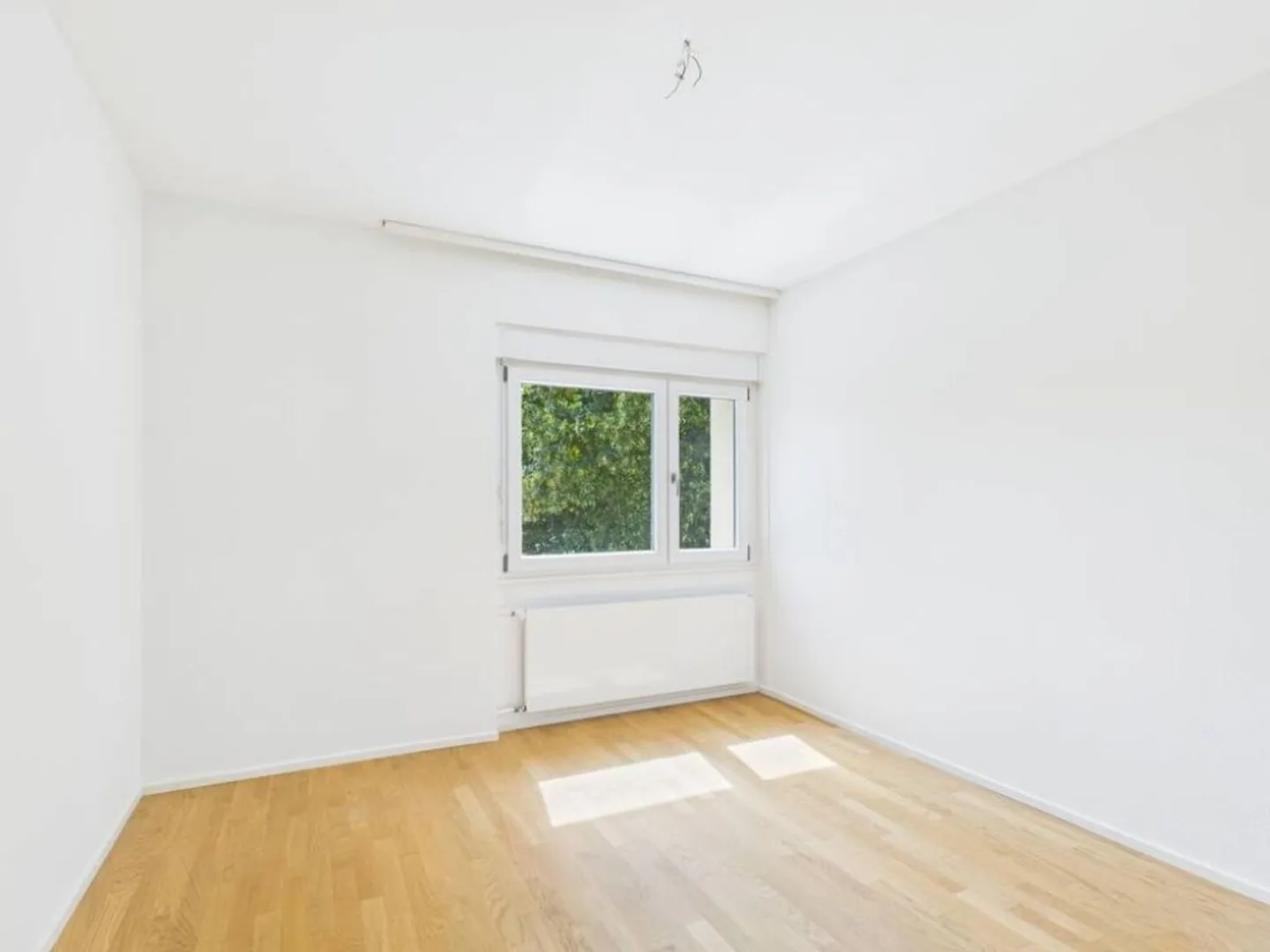 Bright and spacious in a central location - Photo 6 of 13