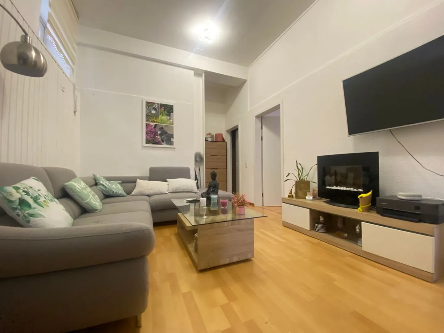 Rivera - Elegant and spacious independent villa with income apartments - Photo 3 of 13