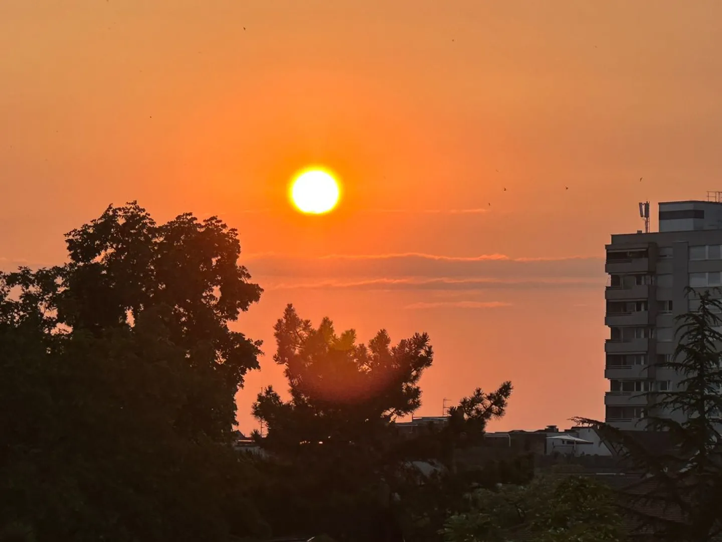 Attic / Maisonette Apartment. Rare Opportunity in Prime Location in BS! - Photo 1 of 13