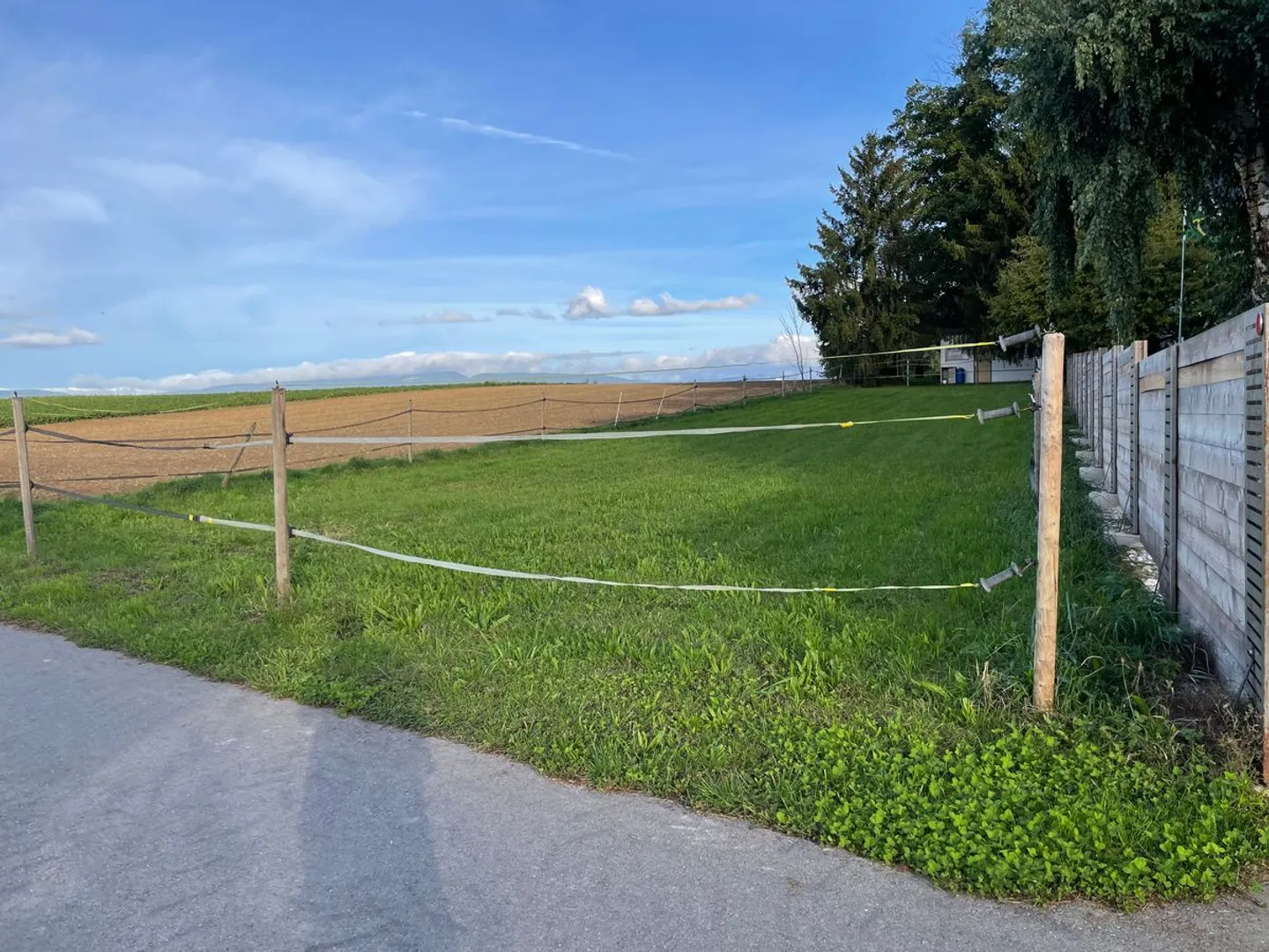 In affitto - Box per cavalli con terreno agricolo (11.920 m²) - Foto 1 di 9