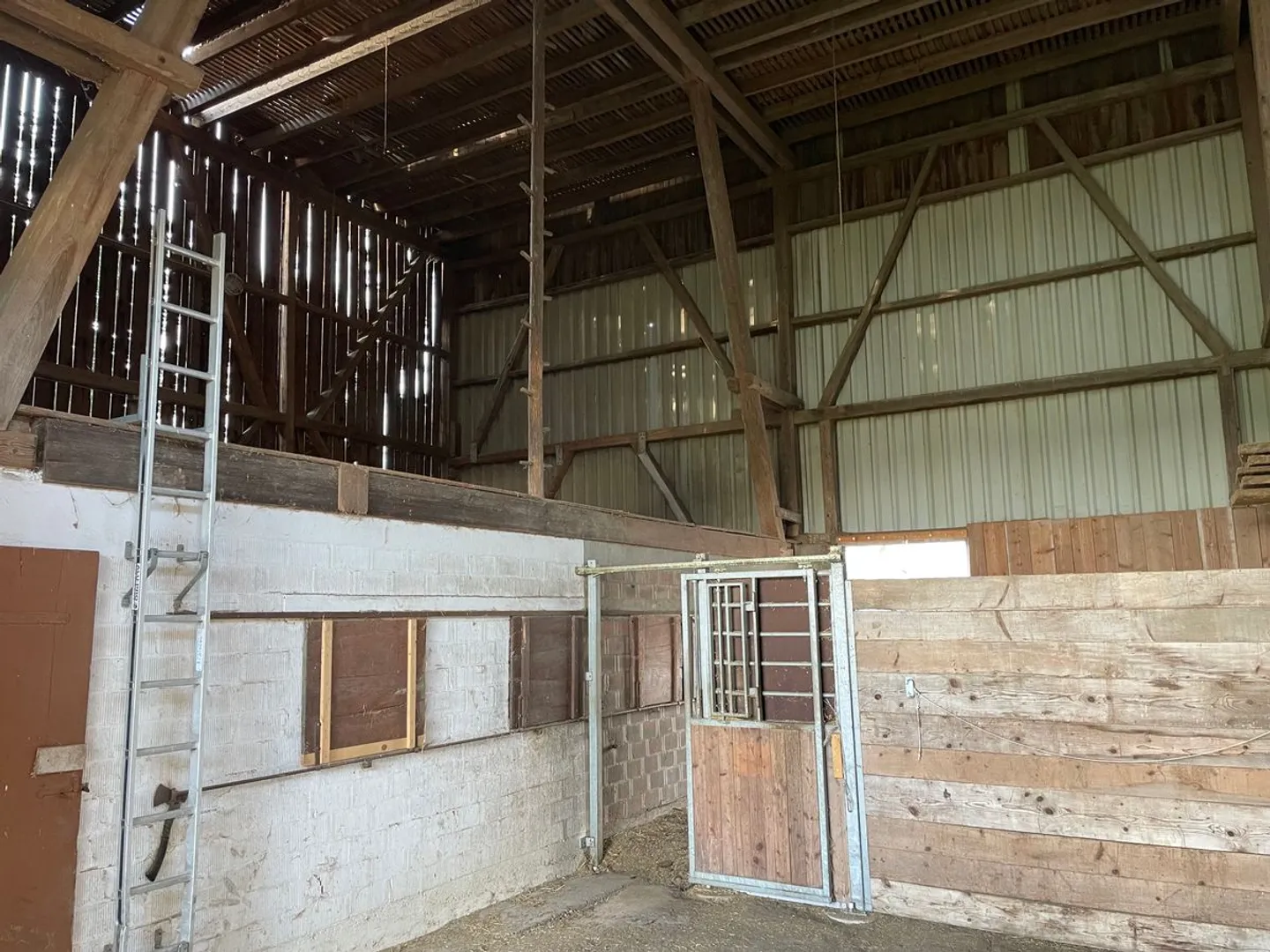 In affitto - Box per cavalli con terreno agricolo (11.920 m²) - Foto 2 di 9