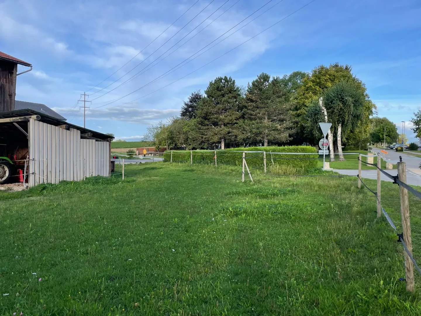 In affitto - Box per cavalli con terreno agricolo (11.920 m²) - Foto 4 di 9