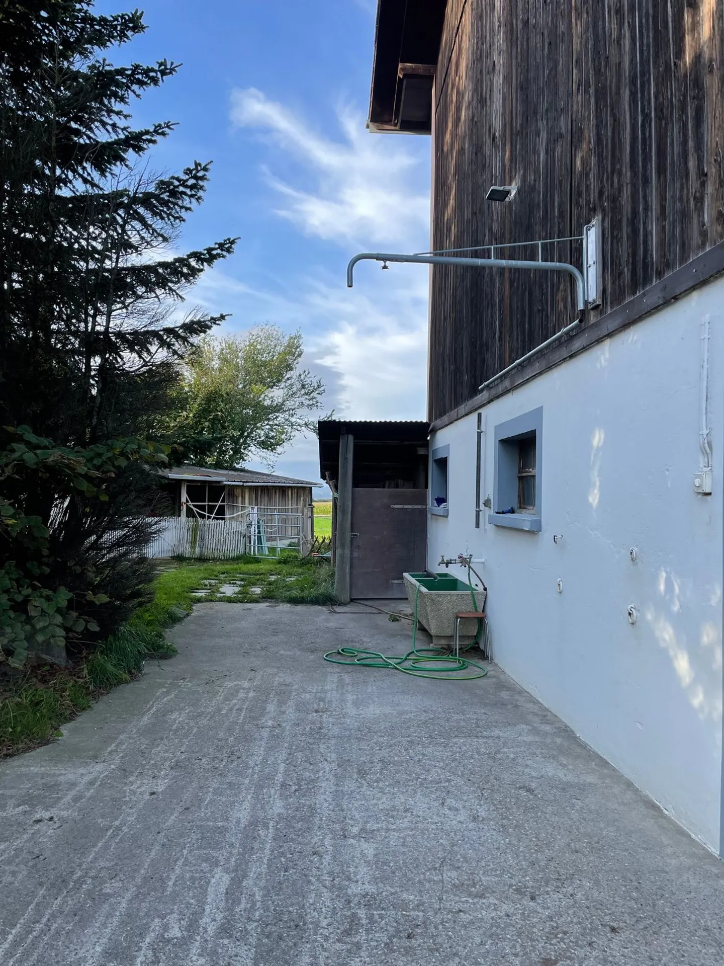 In affitto - Box per cavalli con terreno agricolo (11.920 m²) - Foto 5 di 9