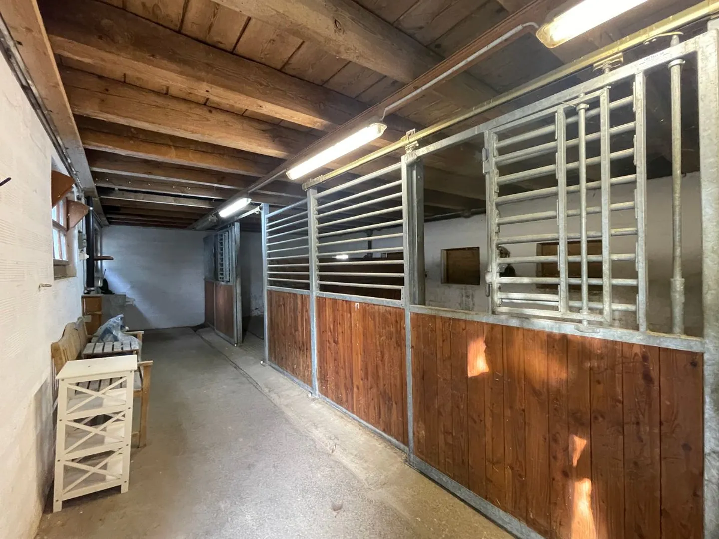 In affitto - Box per cavalli con terreno agricolo (11.920 m²) - Foto 6 di 9