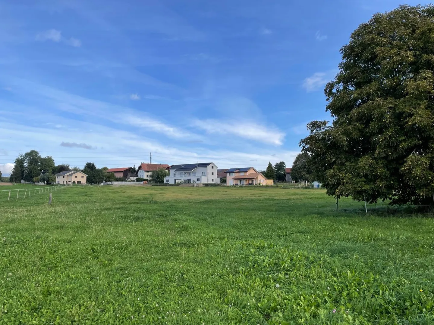 In affitto - Box per cavalli con terreno agricolo (11.920 m²) - Foto 7 di 9