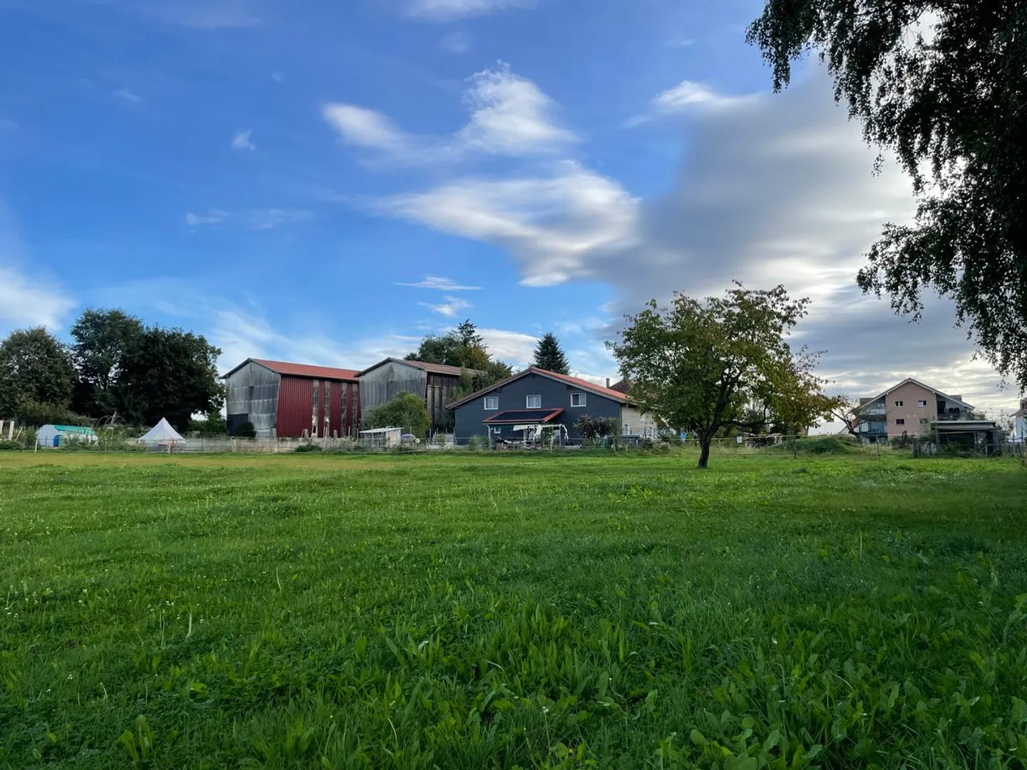 In affitto - Box per cavalli con terreno agricolo (11.920 m²) - Foto 9 di 9