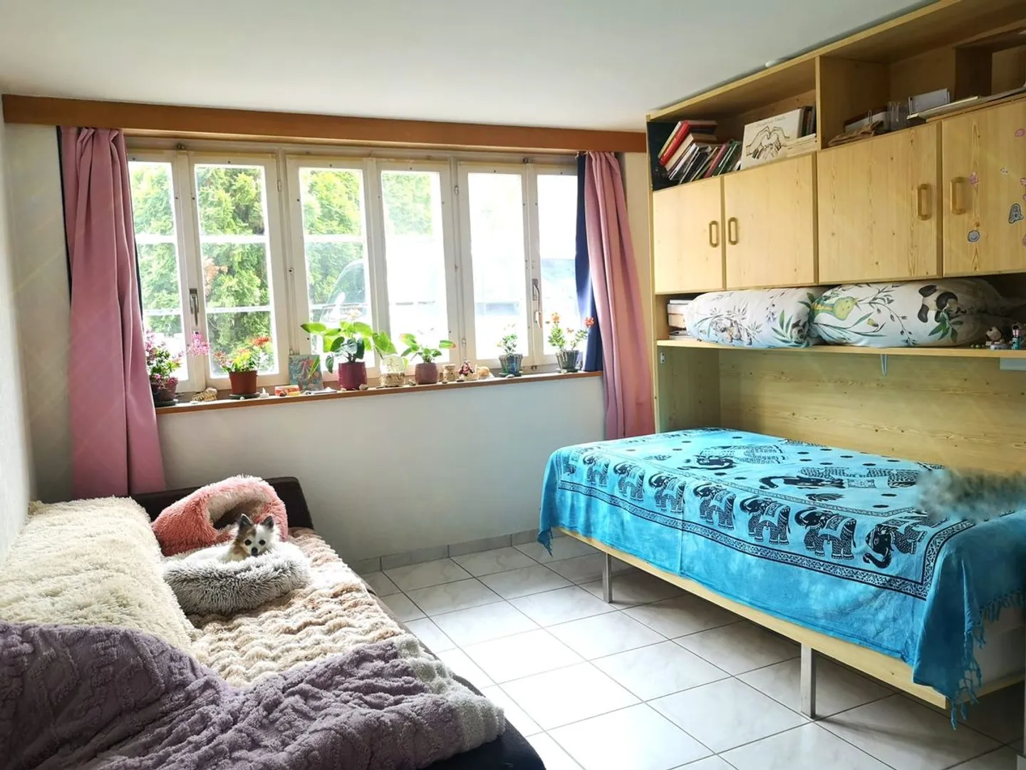 Casa di 6,5 stanze con spazio commerciale (94m2) - Foto 5 di 13