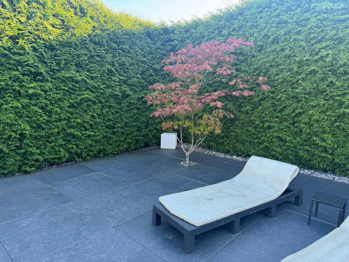 Propriété de rêve avec piscine - Photo 12 sur 12