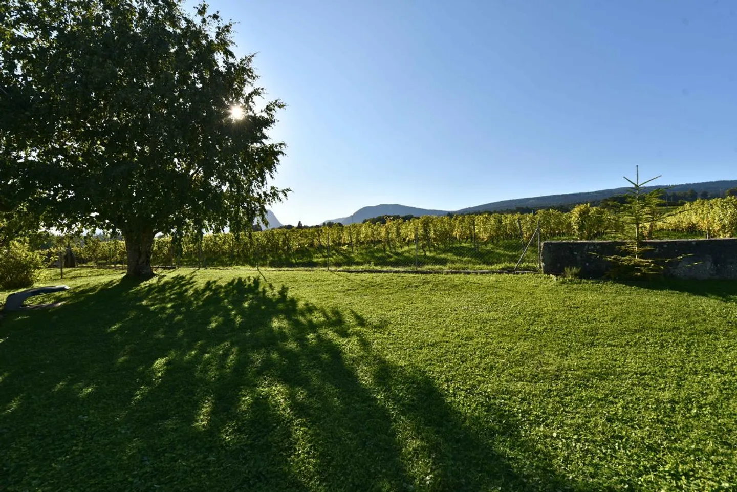 Villa indipendente, vista lago nel cuore dei vigneti - Foto 9 di 10