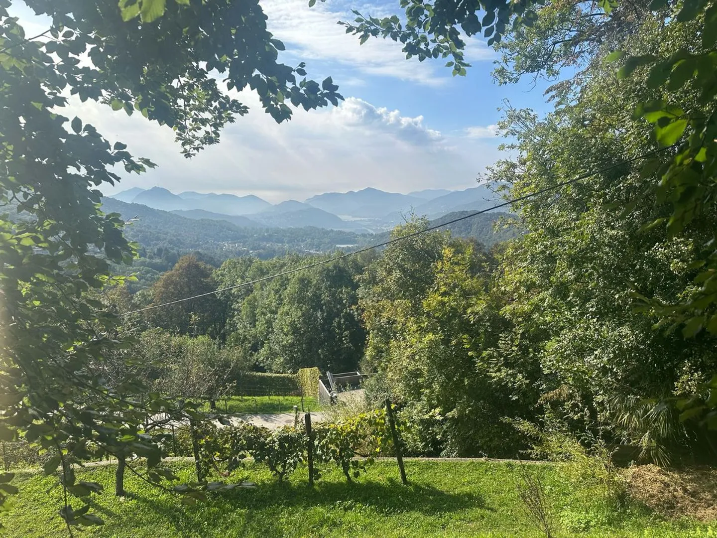 Sala Capriasca - Terreno edificabile - Foto 3 di 3
