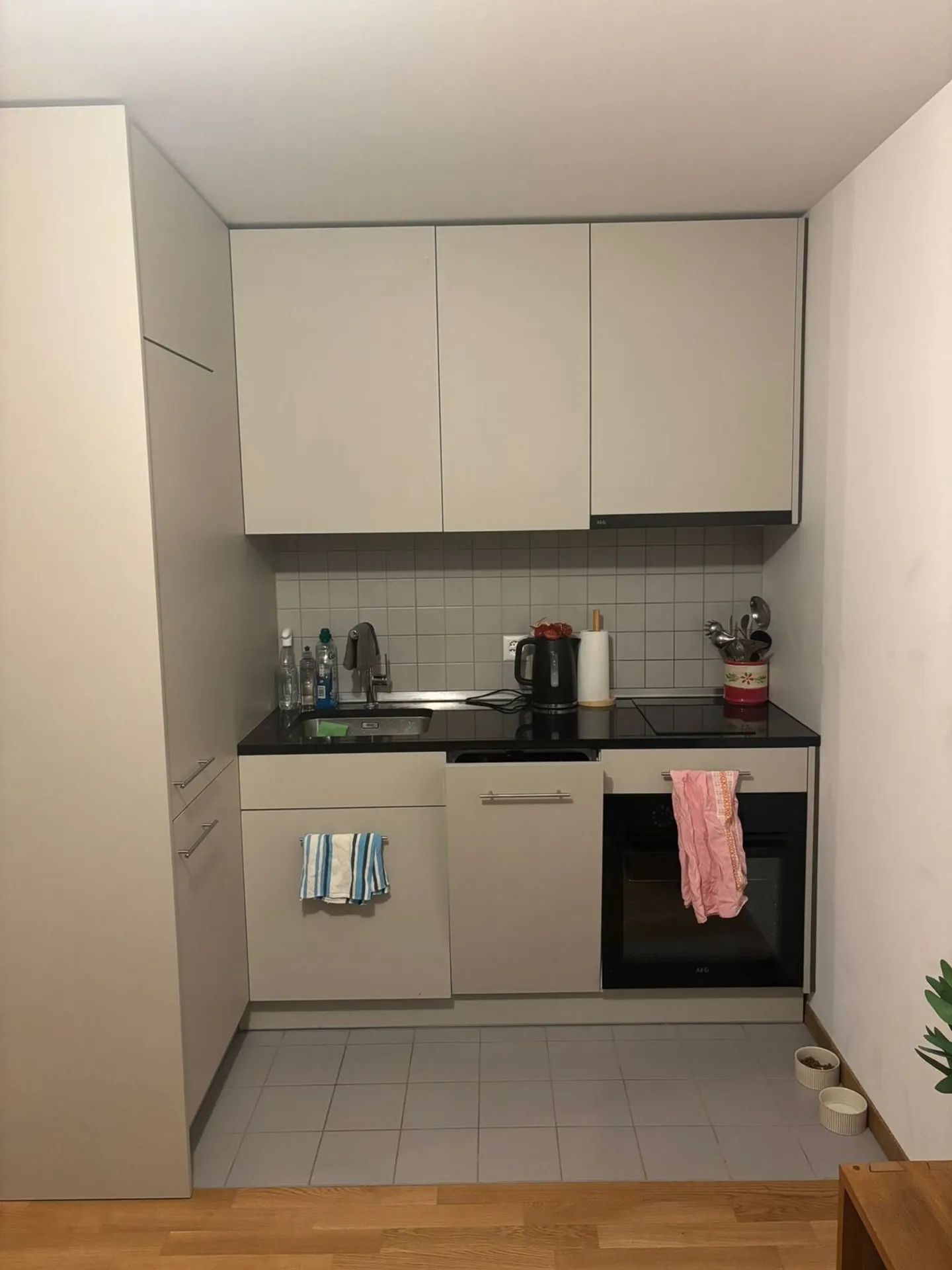 Studio 1.5 with a view for rent in Bex, CH - Photo 2 of 5