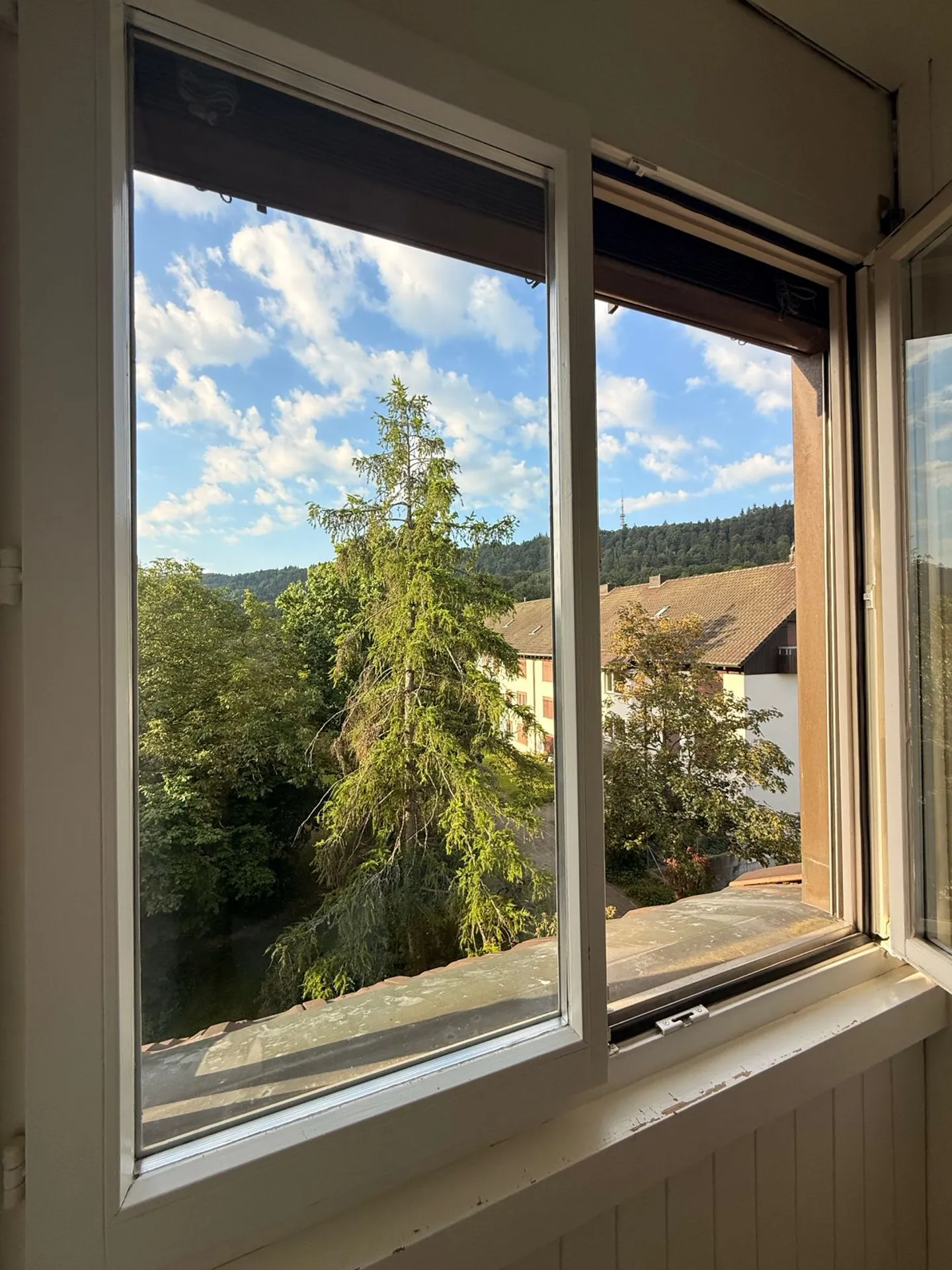 Spacious Room for Rent with a View in Feuerthalen - Photo 5 of 5