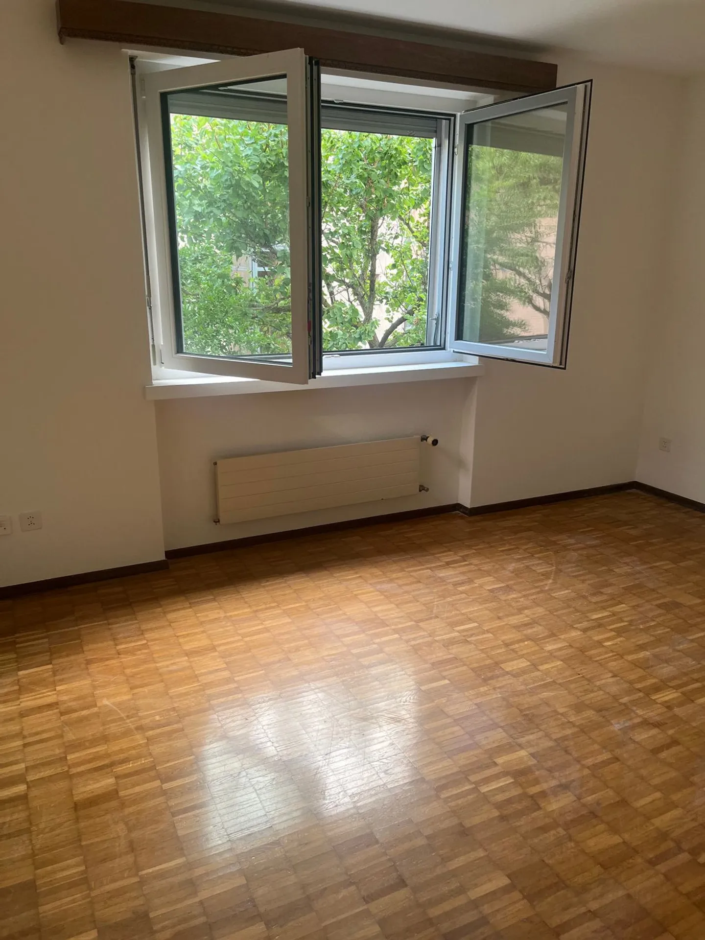 Spacious Apartment in Bellinzona - Photo 4 of 6