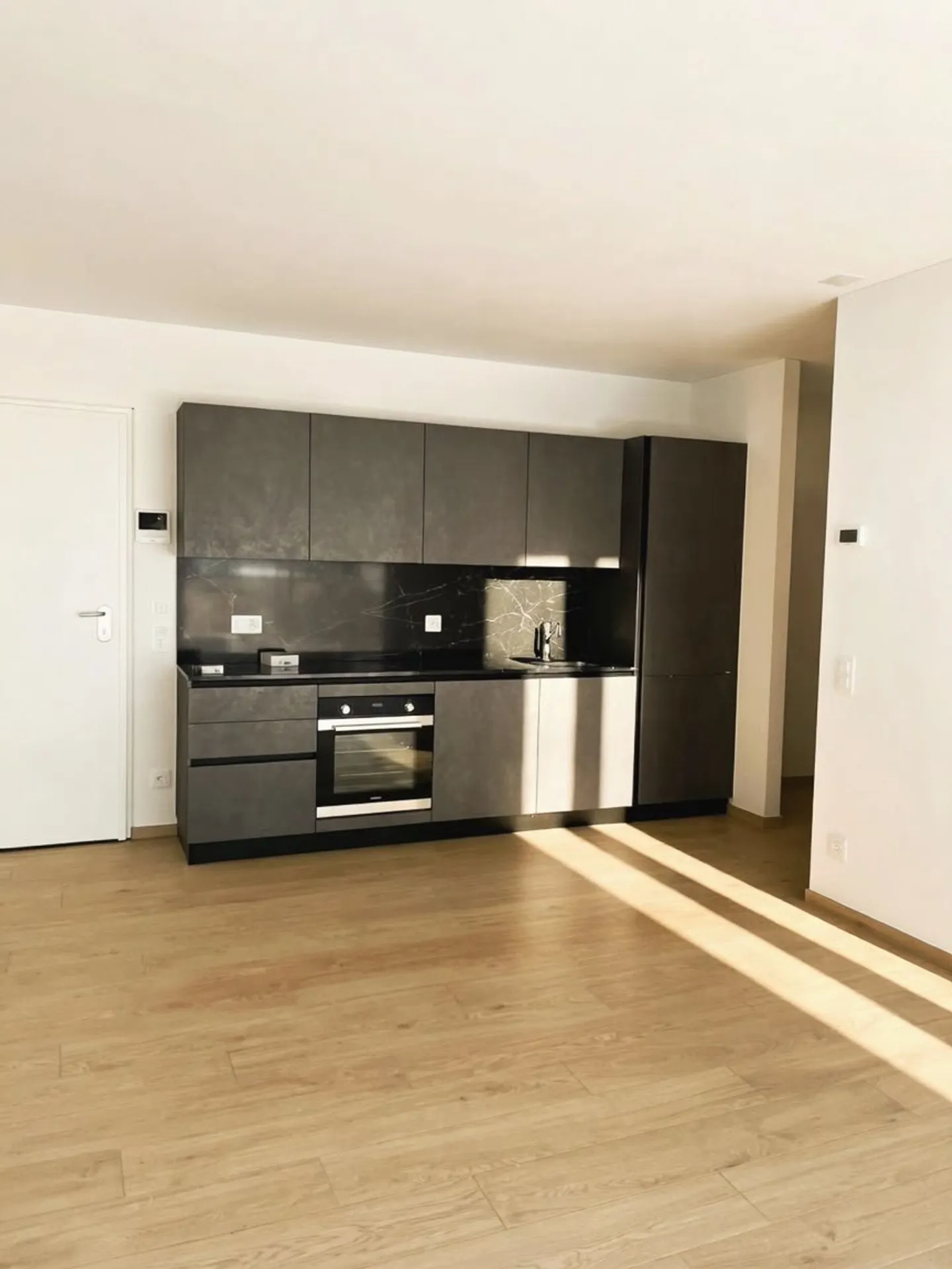 Neue 2.5-Zimmer-Wohnung mit Garten in Camorino - Foto 7 von 9