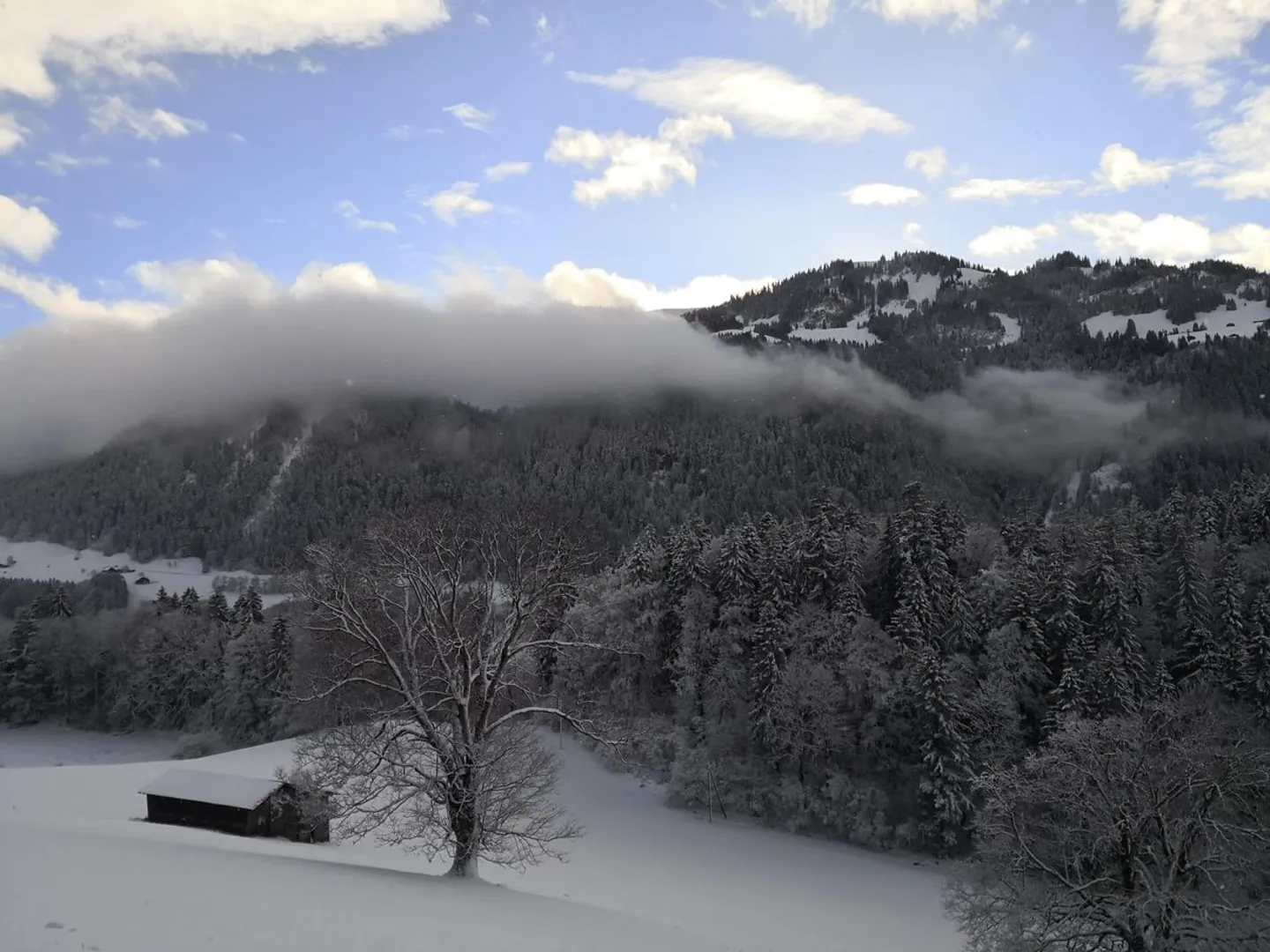 Chalet élégant et historique avec vue sur le Simmental, Boltigen, 4.5 pièces - Photo 5 sur 5