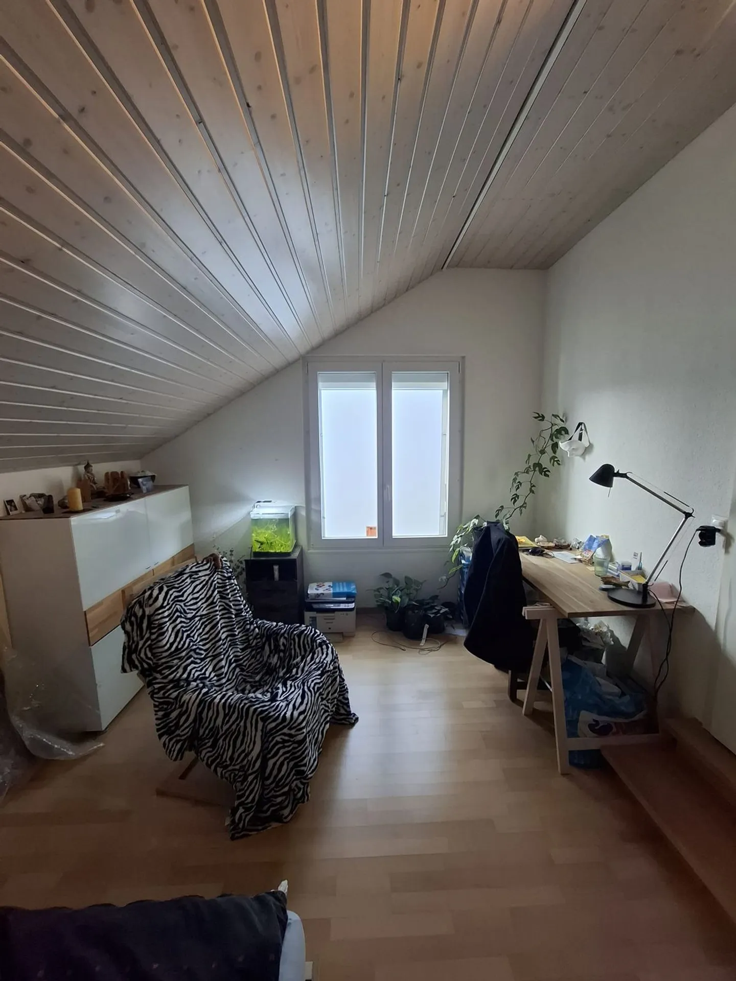 17 m² Zimmer zur Miete in Fribourg - Foto 5 von 7
