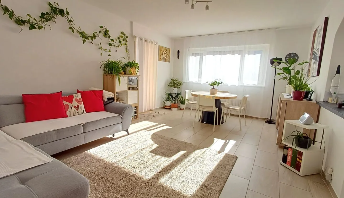 Herrliche 3.5-Zimmer-Wohnung renoviert - DIREKTVERKAUF - Foto 1 von 13