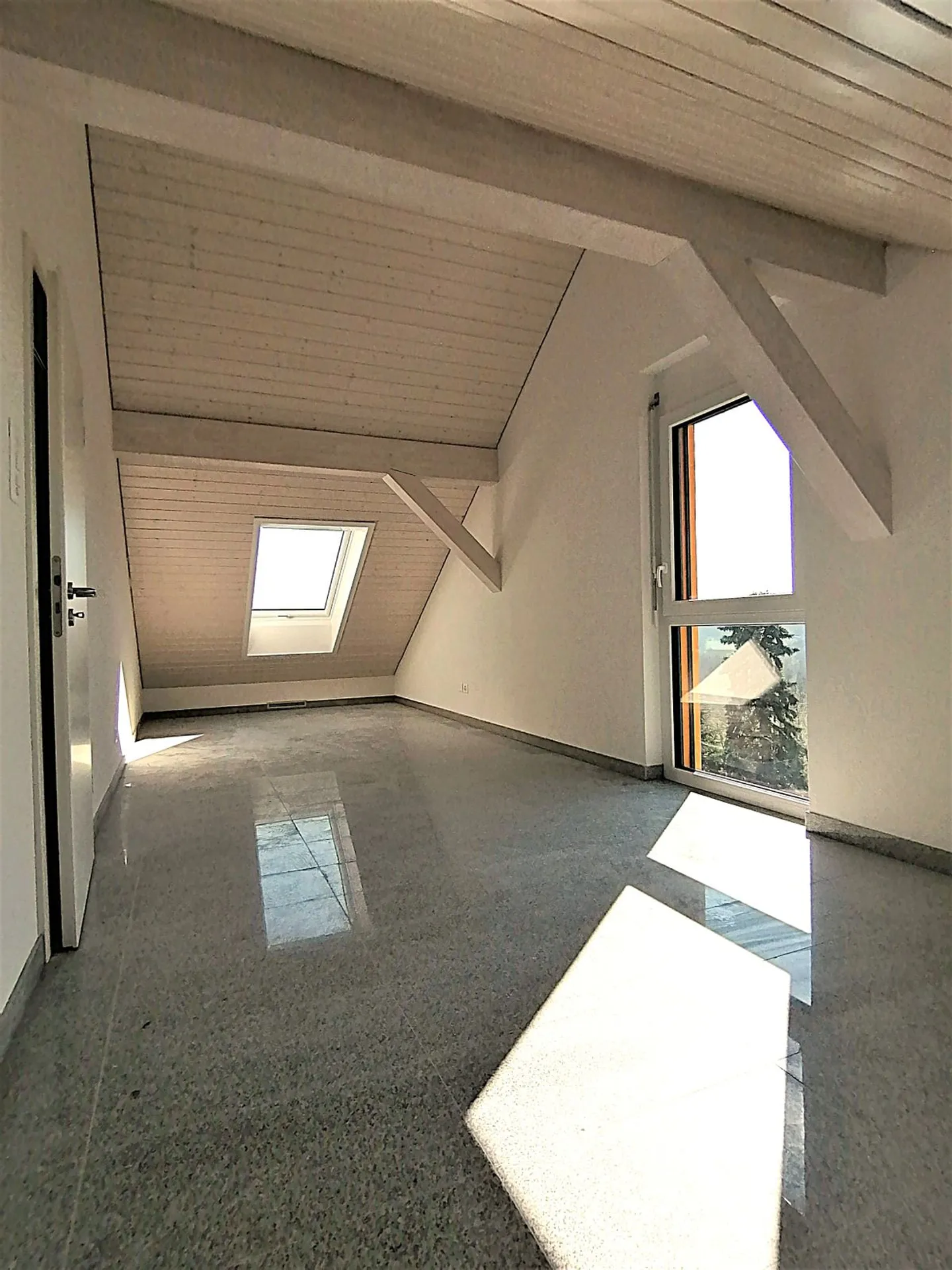 Magnificent Architect Villa in Penthaz (next to Bussigny), 8 rooms - Photo 9 of 12