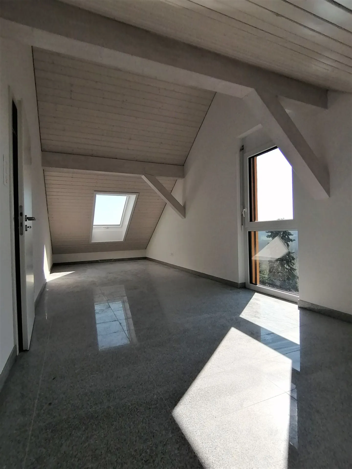 Magnificent Architect Villa in Penthaz (next to Bussigny), 8 rooms - Photo 8 of 12