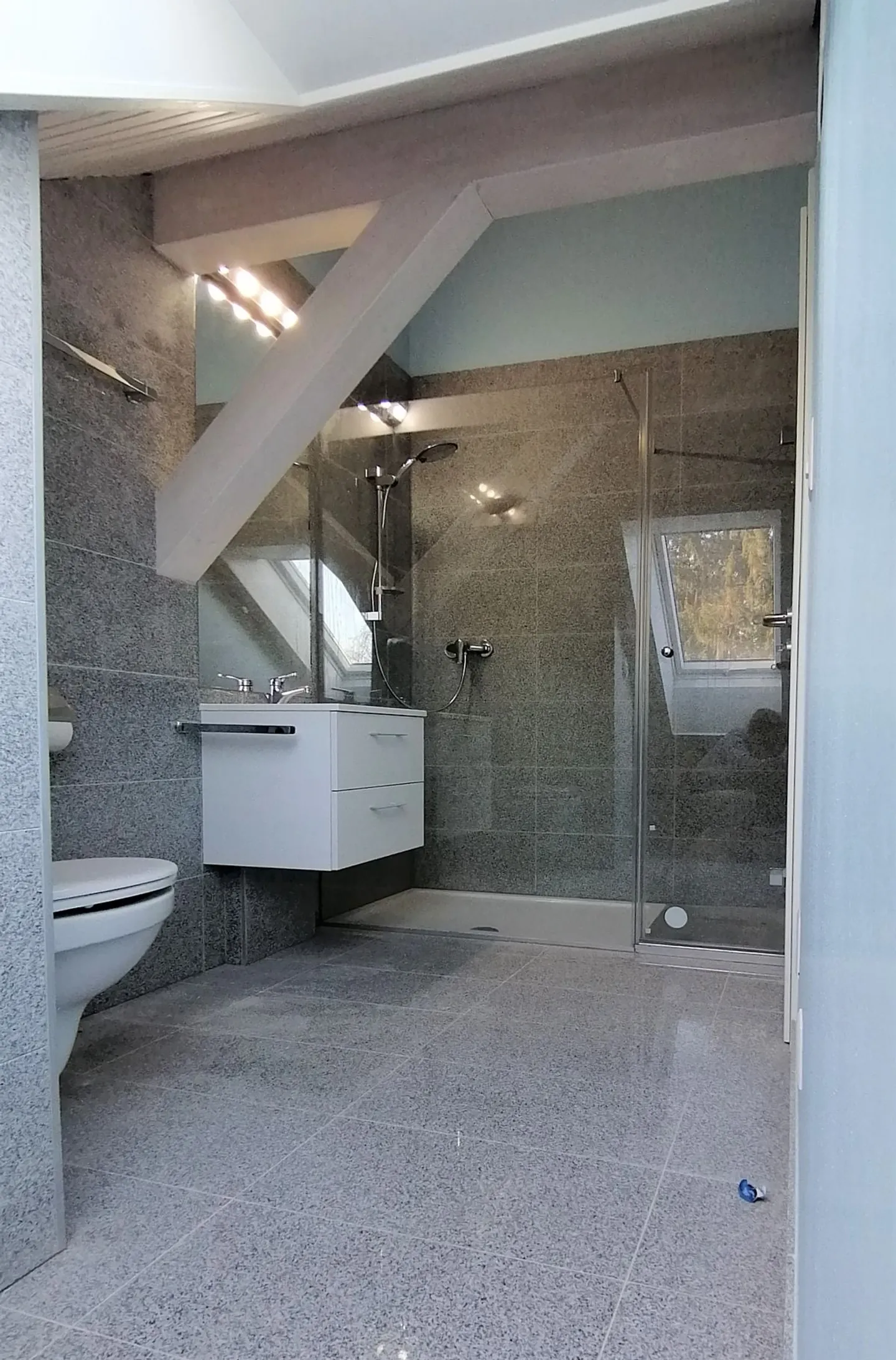 Magnificent Architect Villa in Penthaz (next to Bussigny), 8 rooms - Photo 10 of 12