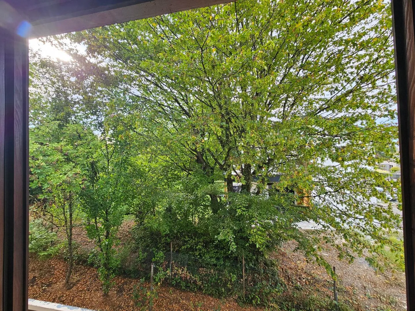 Zimmer in EFH in Grüt (Gossau ZH), Fr 800.-/Mt - Foto 4 von 6
