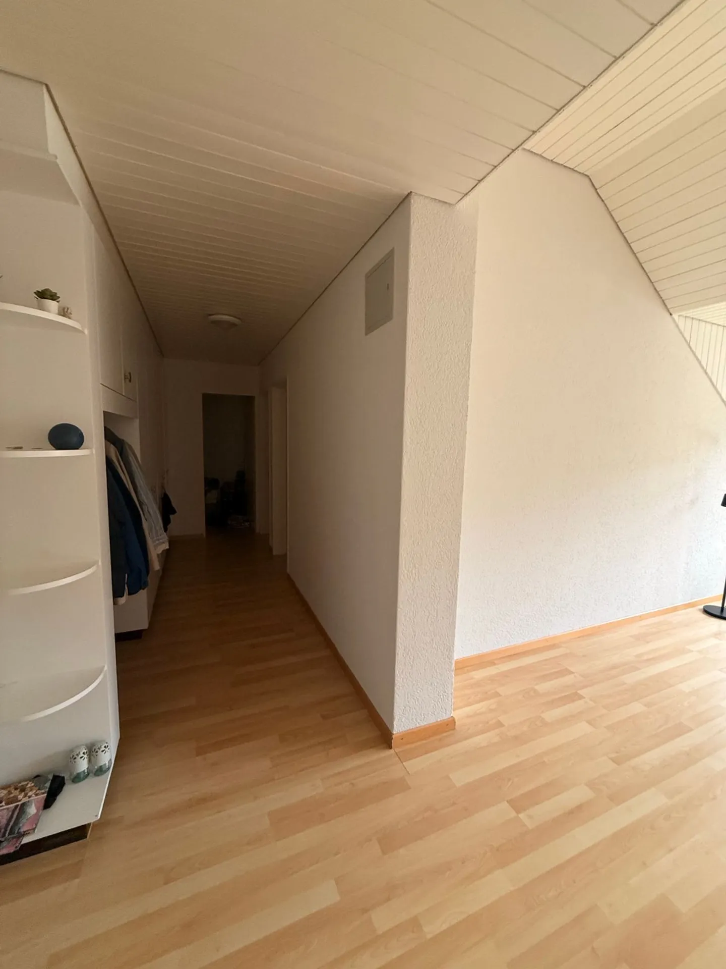 Spacious Room for Rent with a View in Feuerthalen - Photo 4 of 5
