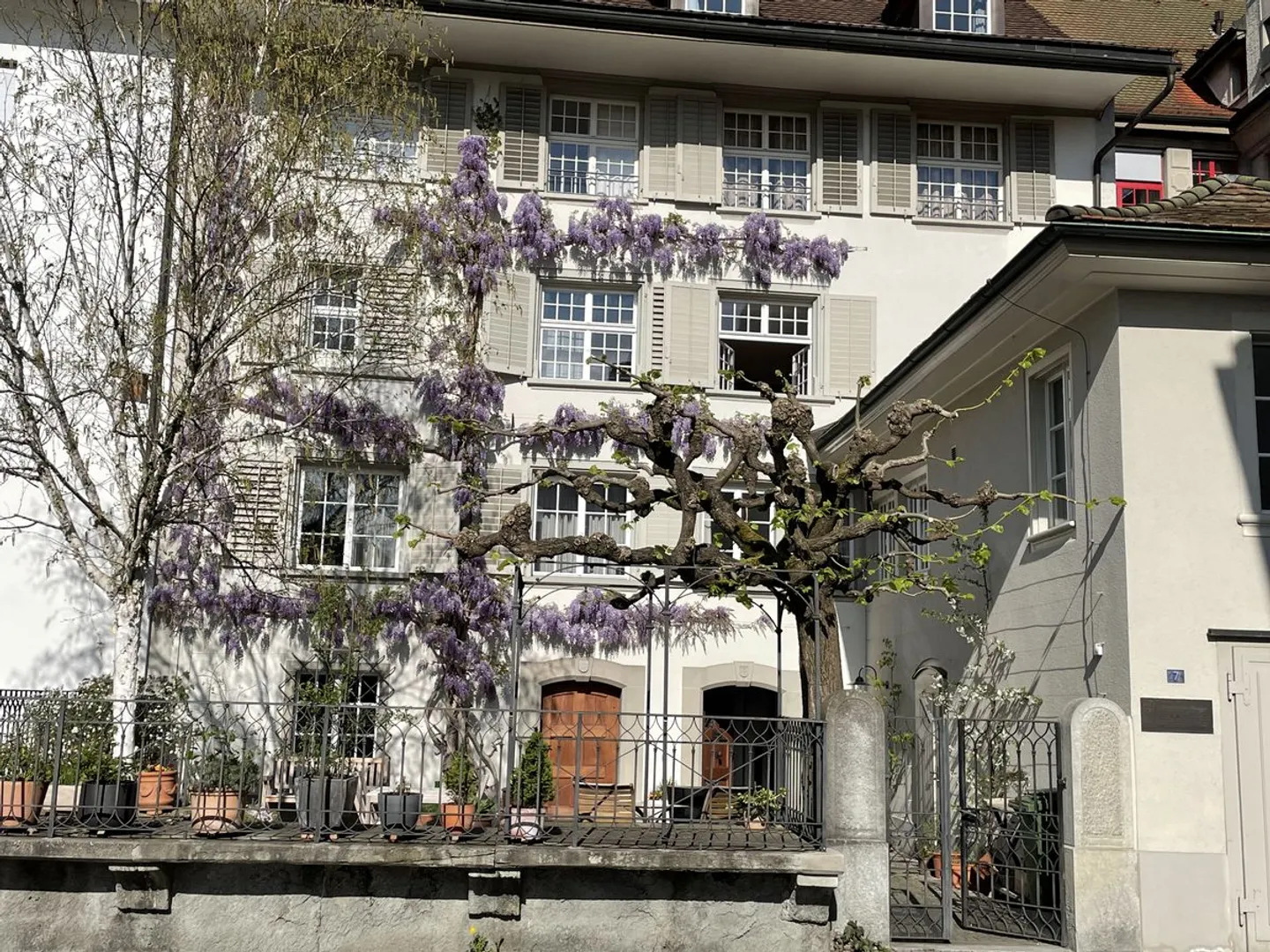 3.5-room apartment with a view in Zofingen for rent - Photo 1 of 13