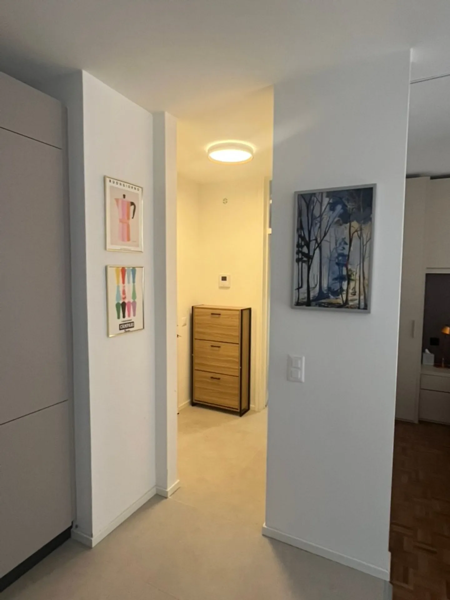 Renovated Apartment by Lake Lugano - Photo 7 of 12
