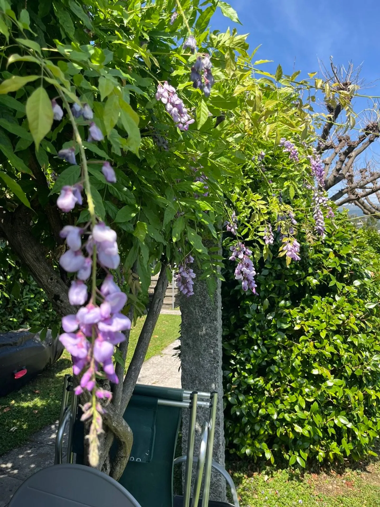 Renovated Apartment by Lake Lugano - Photo 11 of 12