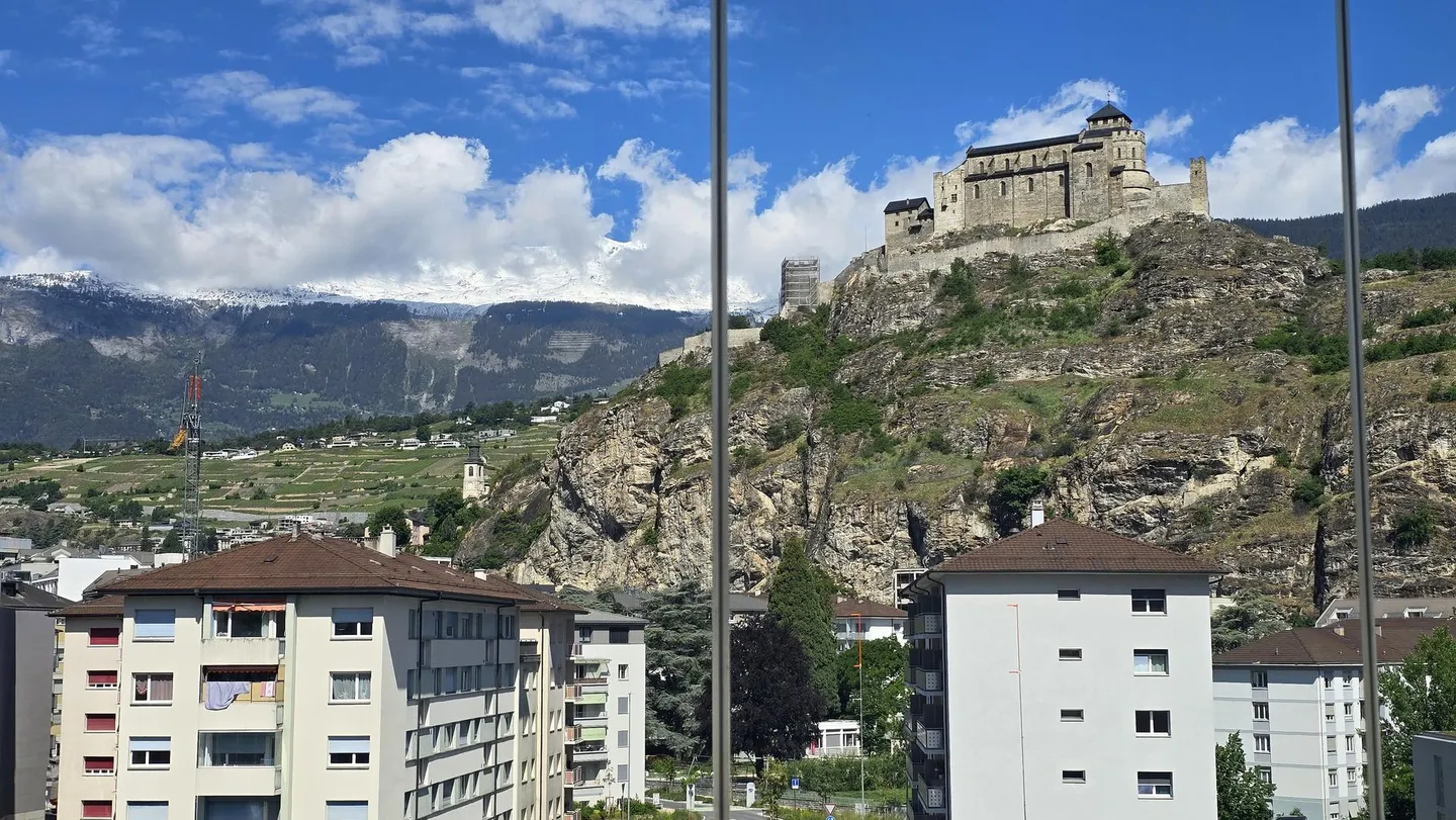 Appartement Charmant au Bord du Rhône - Photo 11 sur 13
