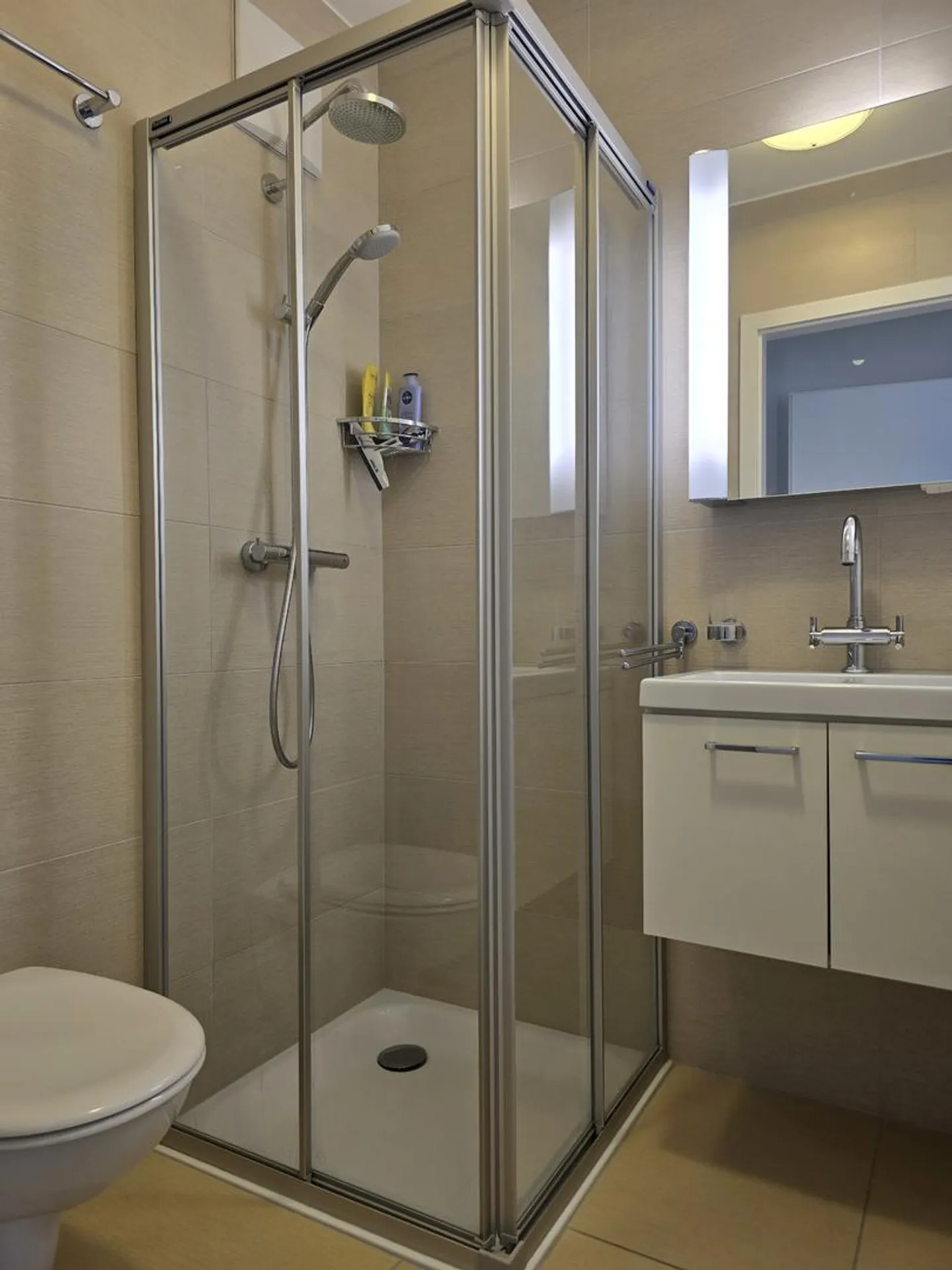 Appartement unique au bord du Rhône - Photo 9 sur 13