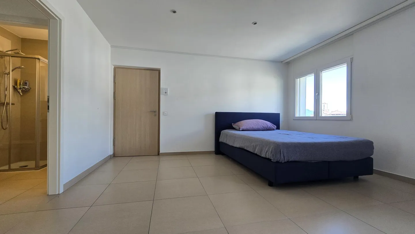 Appartement unique au bord du Rhône - Photo 6 sur 13