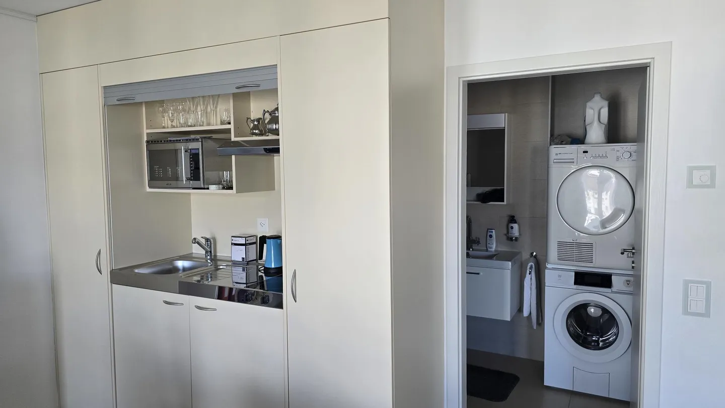 Appartement unique au bord du Rhône - Photo 7 sur 13