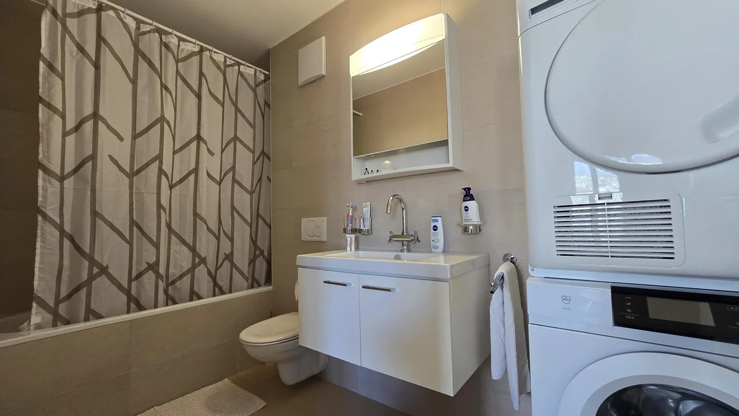 Appartement unique au bord du Rhône - Photo 10 sur 13