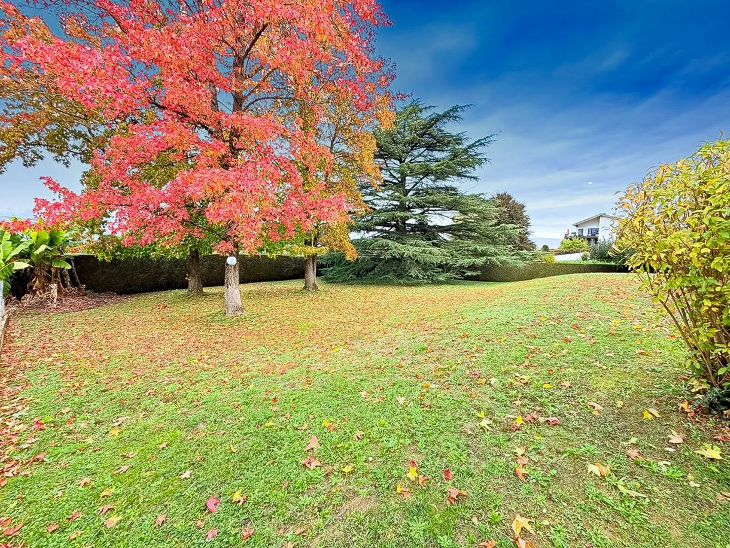 Bellissimo duplex ristrutturato! - Foto 13 di 13