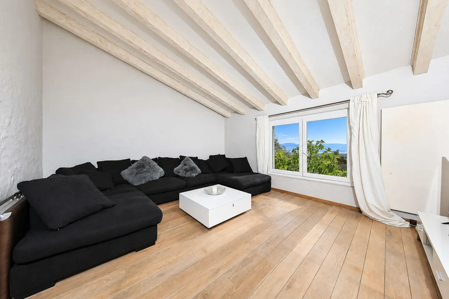 Superb Villa with Panoramic Views of Lake Geneva, the Alps and Mont Blanc - Photo 9 of 13