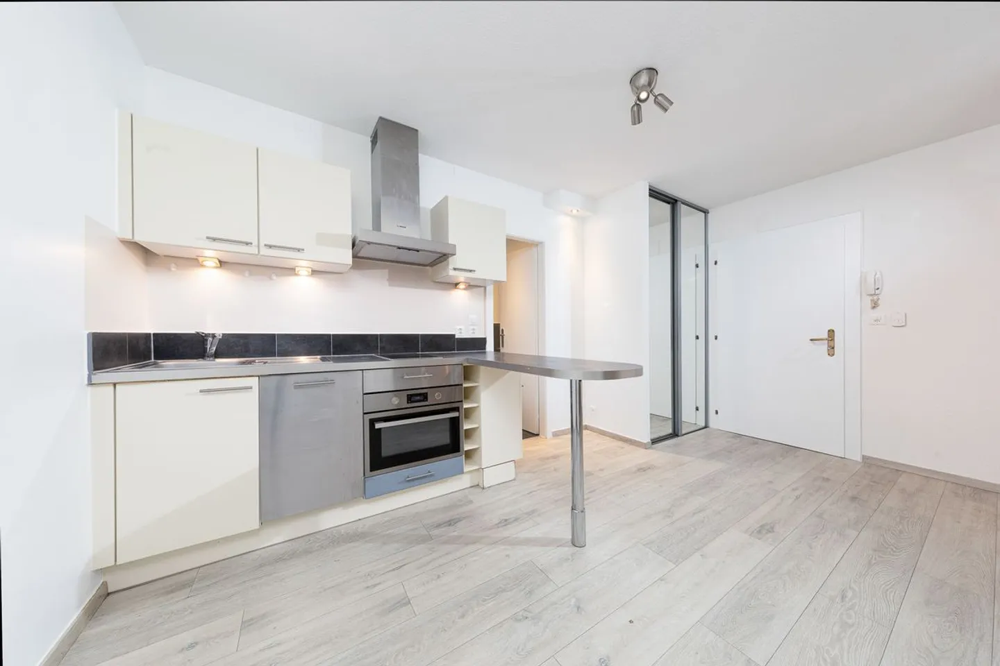 Renovated 5.5-room apartment + independent studio - Photo 13 of 13