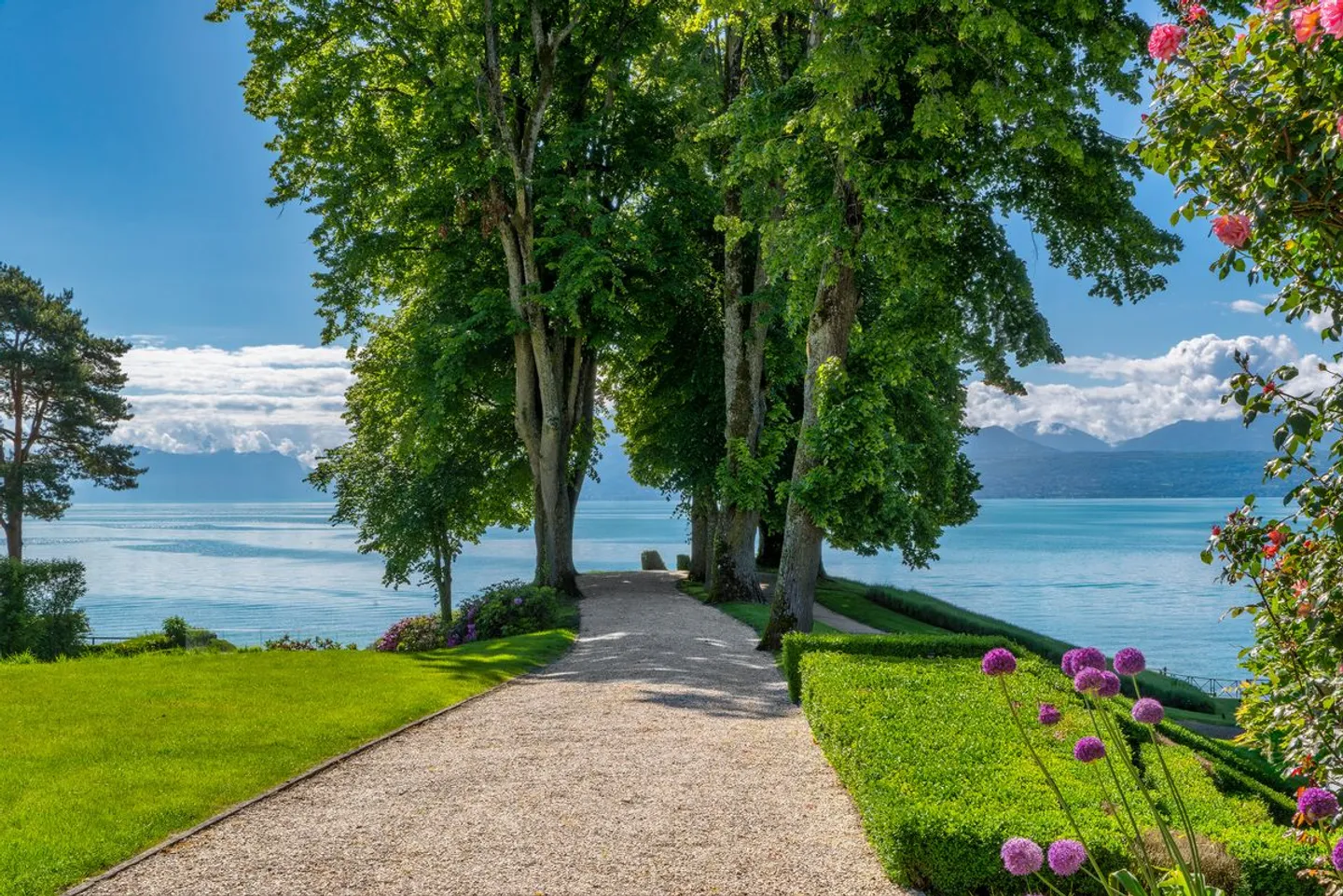 Proprietà eccezionale a piedi nell'acqua a Saint-Prex - Foto 4 di 13