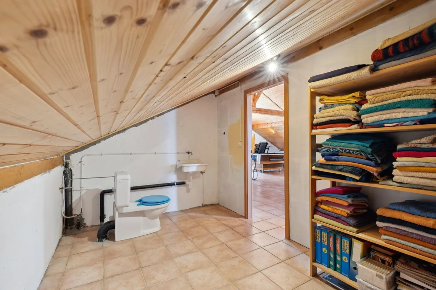 Individual villa with large independent studio and multiple possibilities on large plot - Photo 13 of 13