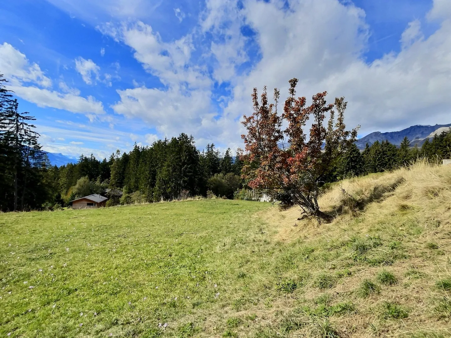 To be built in Crans - Green setting, mountain view - Photo 4 of 10