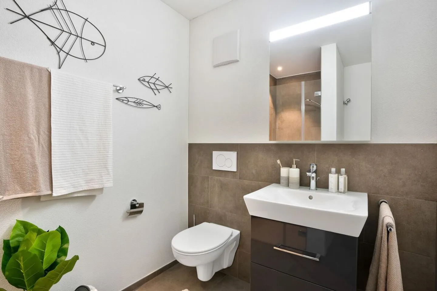 1.5-Room Apartment - Photo 7 of 12