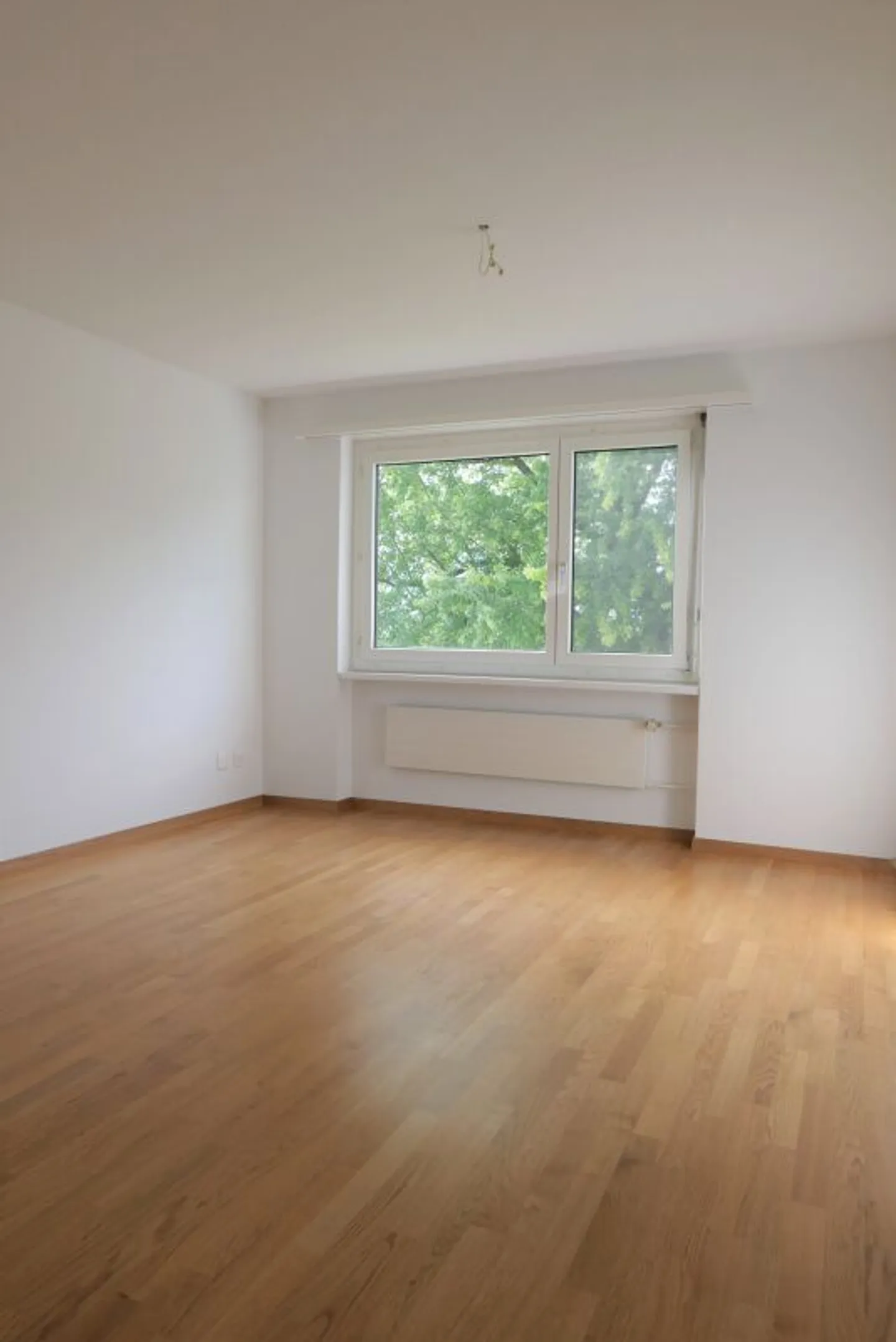 Beautiful apartment with a view of greenery - absolutely quiet location - Photo 5 of 9