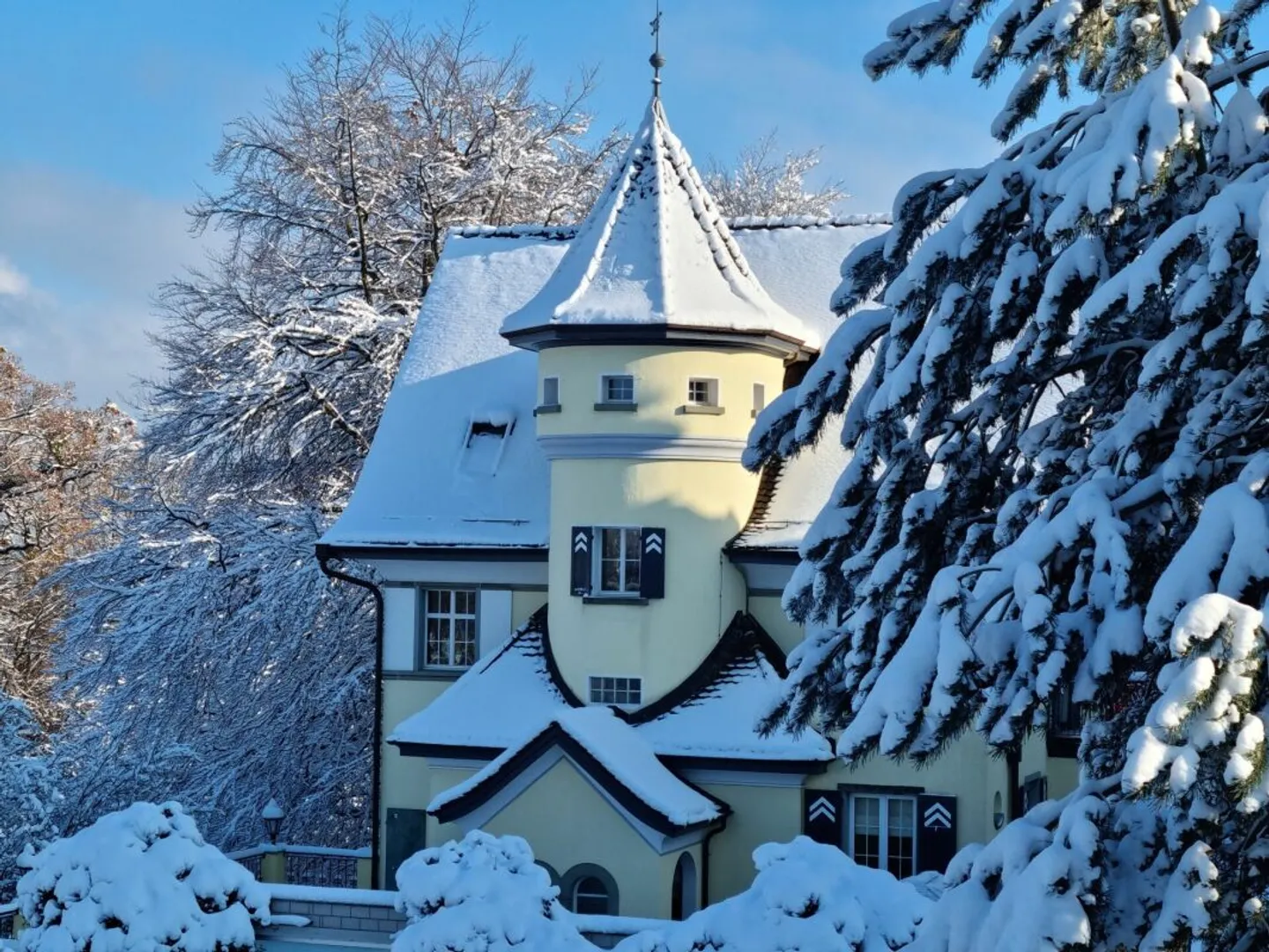 Herrschaftsvilla mit 2'008 m2 parkähnlichem Grundstück - Photo 1 sur 11