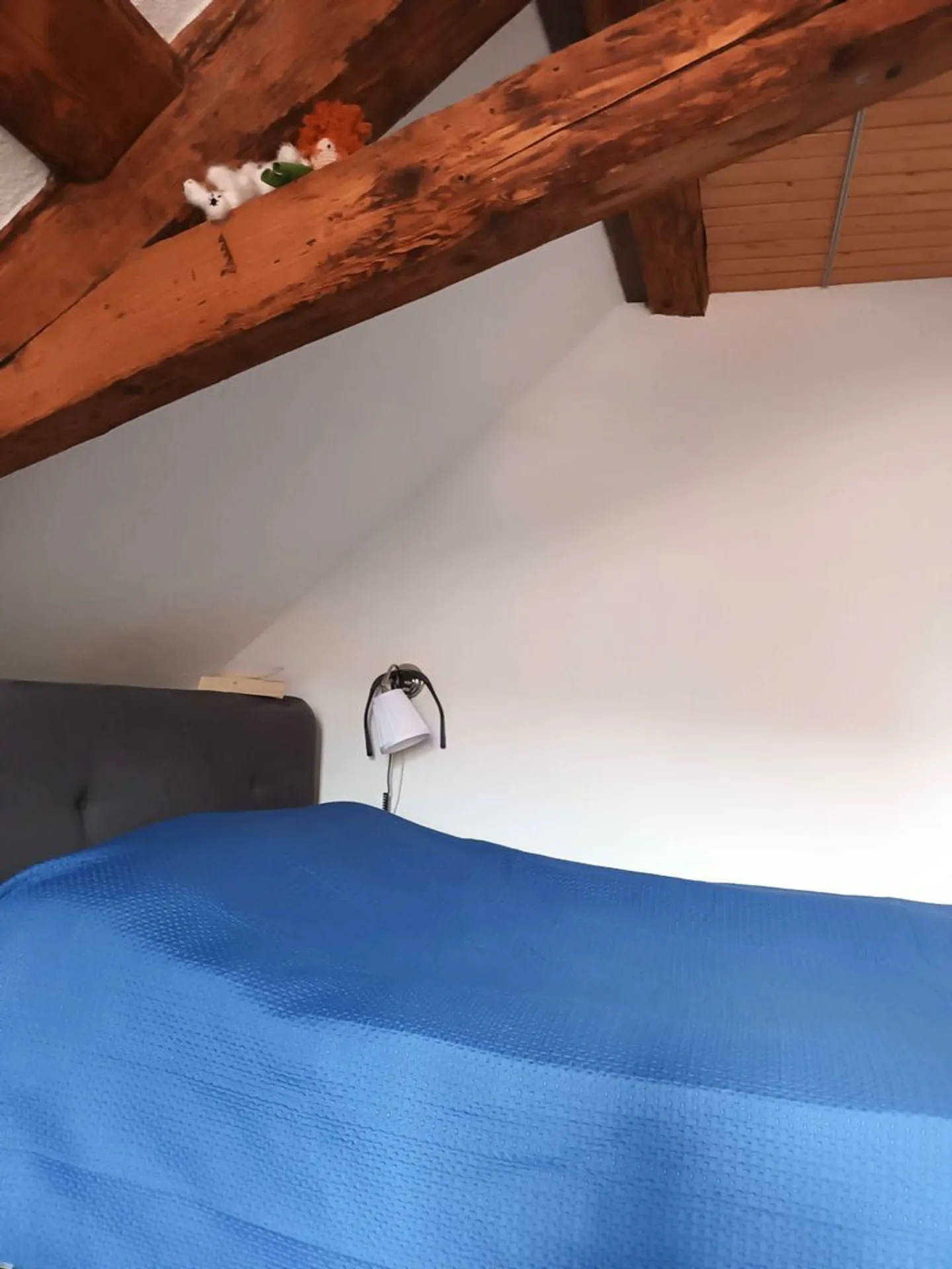 1-room apartment - Photo 4 of 7