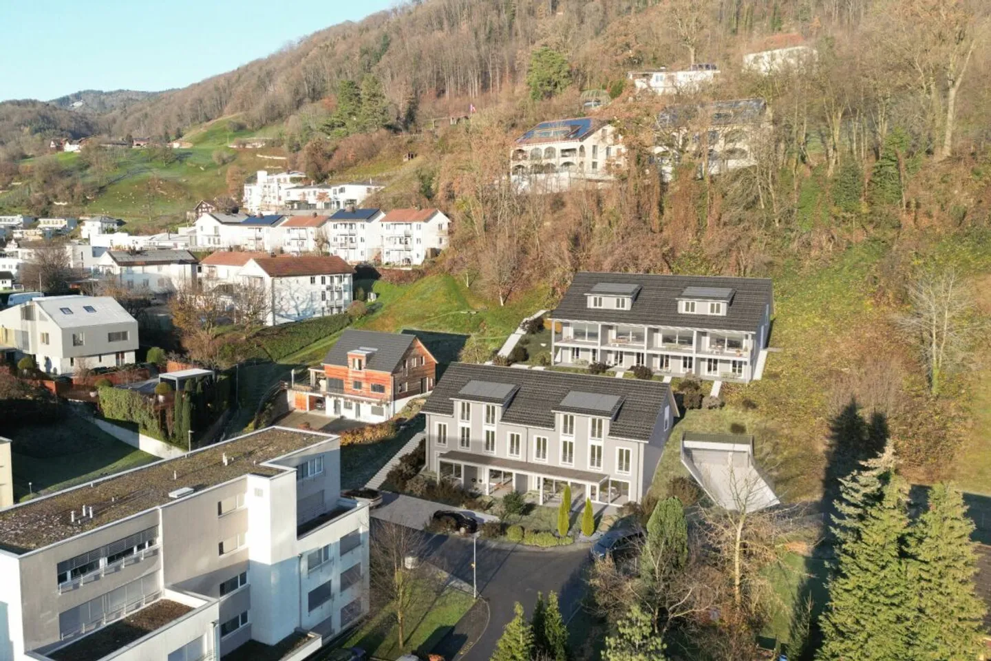 Nuova costruzione "Bartlishalde" - Casa a schiera - Foto 7 di 8