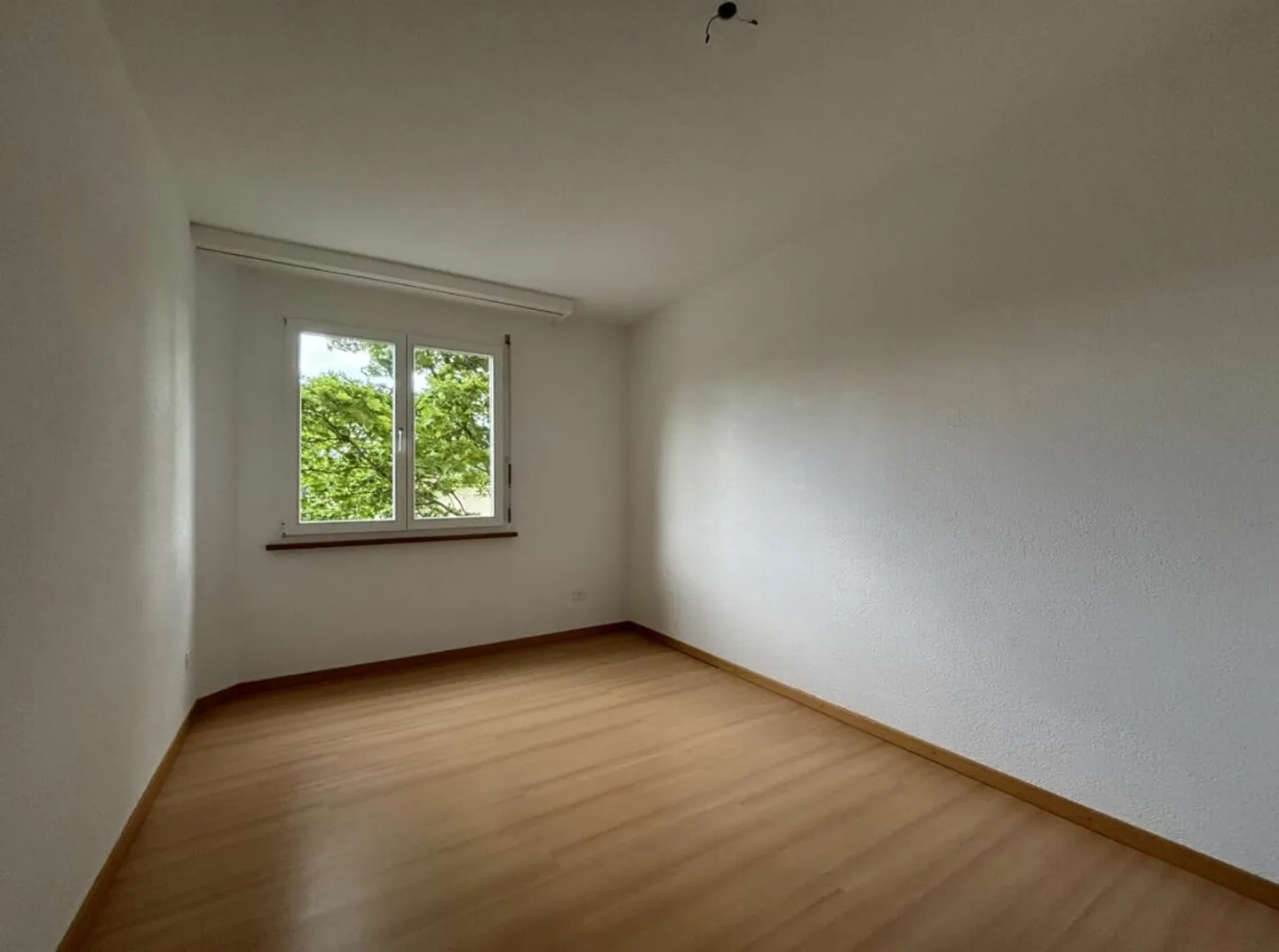 3.5-Room Apartment - Photo 6 of 8
